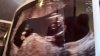 IMG-20170908-WA0006.jpeg