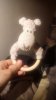 IMG-20170824-WA0003.jpg