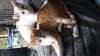 20170908_160707.jpg