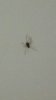 IMG-20170910-WA0016.jpg