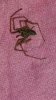 IMG-20170910-WA0014.jpg