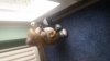 20170914_114028.jpg