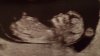 baby.jpg