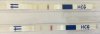 fullsizeoutput_9da.jpeg