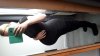 IMG-20170920-WA0014.jpeg