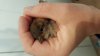 20170921_104212.jpg