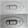 PhotoGrid_1506145085190 (1).png