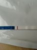 IMG-20170929-WA0020.jpg