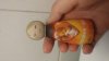 20170625_112713.jpg