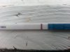 test29om1300uur.jpg