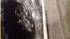 20171002_104107.jpg