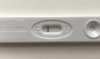 FE5BFB4C-3002-46E4-BE37-07813B642290.jpeg