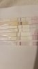 IMG-20171010-WA0007.jpg