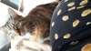 20171002_140804.jpg
