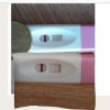 downloadfile-9.jpg