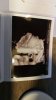 IMG-20171014-WA0018.jpeg
