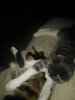 IMG_20171016_47533.jpg