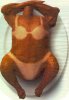 tan_chick.jpg