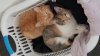 20170927_115318.jpg