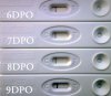 6 7 8 9 dpo f.jpg