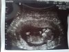 IMG-20171026-WA0001.jpg