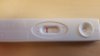 13 dpo.jpg