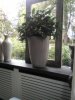 IMG_20171028_248.jpg