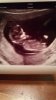 IMG-20171031-WA0009.jpeg