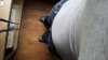 IMG-20171101-WA0011.jpeg