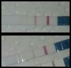 IMG_2017-11-02_04-07-26.JPG