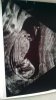 IMG-20171102-WA0010.jpeg