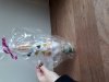 20171022_110414.jpg
