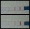 IMG_2017-11-04_05-23-16.JPG