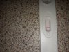 20171106_065118.jpg