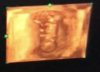 71DC3693-CFF7-493C-9C2B-D26AA2B720C7.jpeg