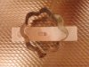 IMG_20171112_072336.jpg