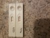 20171114_070442.jpg