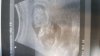 baby1.jpeg