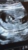 IMG-20171030-WA0002.jpg