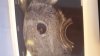 IMG-20171116-WA0003.jpeg