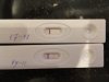 CFF67219-A1E5-4C40-AEC5-DD944B2CDCBE.jpeg