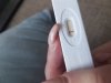 20171119_152425.jpg