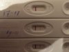 2D3EA236-EDAC-4AB1-920C-96CC64FE6F41.jpeg