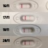 DD08F72B-4A46-4E86-A4C4-4A2222CC8BE2.jpeg