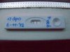 KV2v5 6 nov (CD36, 17 DPO).jpg
