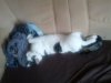 IMG_20120926_153448.jpg