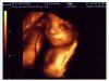3d 29,5 week1.jpg