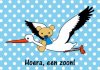 576_420_hoera-een-zoon-.jpg