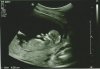 Scan 12+5.jpg
