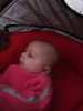 IMG_1541.jpg